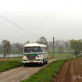 Jelcz 043 DAL #SB 75A