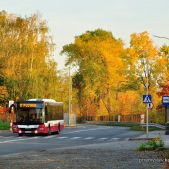 MAN Lion's City #558