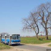 Ikarus 280.26 #DK272