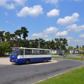 Ikarus 260.06 #137