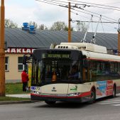 Solaris Trollino 12 #73