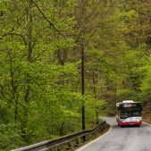 Solaris Urbino 8.9 LE #2041