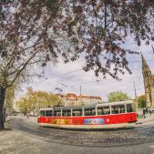 Tatra T3R.P #8528