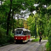 Tatra T3 #8337+8338