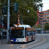 Mercedes O530G CNG #371