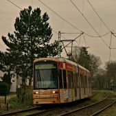 Bombardier NGT8 S #256