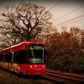 Bombardier NGT8 S #230