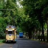 Gotha T57 #31