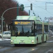 MAN NG313 CNG #538