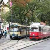 E1 #4638