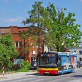 MAZ 203.069 #012