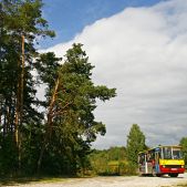 Ikarus 280.70E #231