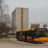 Solaris Urbino 18 #239