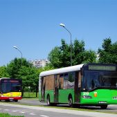 Solaris Urbino 12 #319