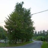 Bieżanów