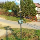 Bosutów