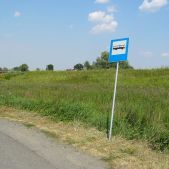 Brzegi