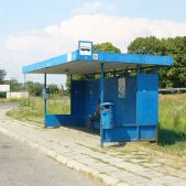 Brzegi