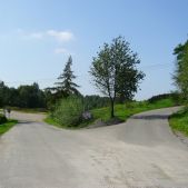 Brzoskwinia