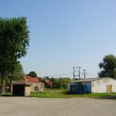 Brzoskwinia Sklep