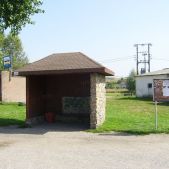 Brzoskwinia Sklep