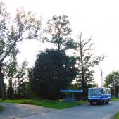 Chałupki