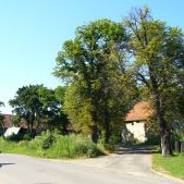 Czulice (stara pętla)