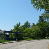 Grabówki