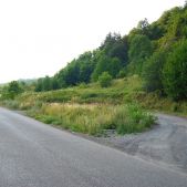 Karniowice