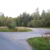Kostrze