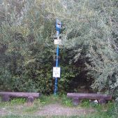 Kostrze