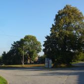 Krasieniec