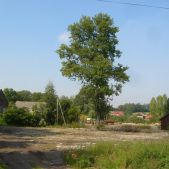 Krzysztoforzyce