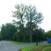 Kujawy