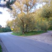 Podskale