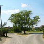 Podwierzbie