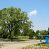 Podwierzbie