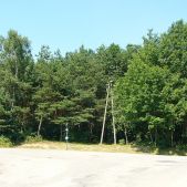 Powieszon