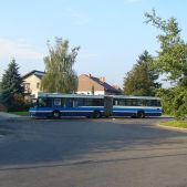 Prądnik Biały