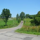 Rzeszotary