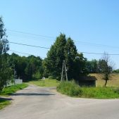 Rzeszotary Panciawa