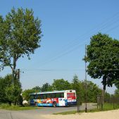 Włosań