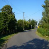 Zelczyna