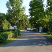 Zelczyna