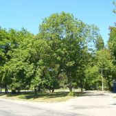 Zesławice