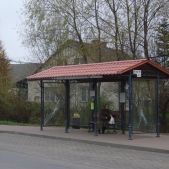 Zielonki