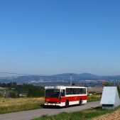 Jelcz M11 #317
