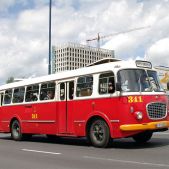 Jelcz 272 MEX #341
