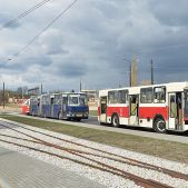 KO-PIERNIK 2015