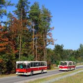 Jelcz PR110M #4617
